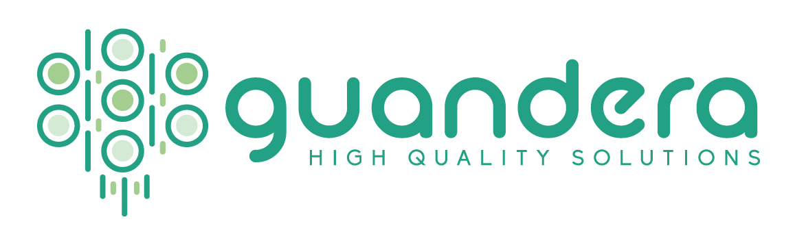 Guandera - Innovación en equipo, transformando ideas en soluciones